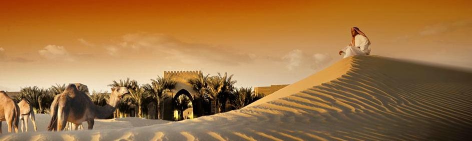 Dubai: Desierto & Playa