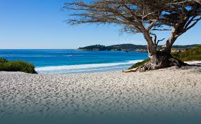 Costa Oeste Fly and Drive
