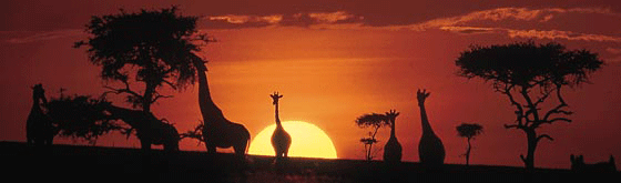 Kenya: emociones a cada instante