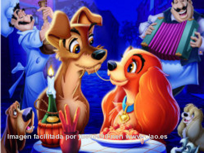 Disney - Plan de comida por día para los novios