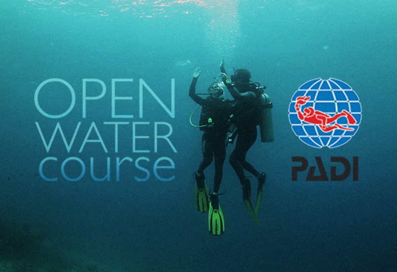 Curso de buceo PADI Honeymoon Special