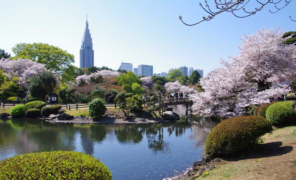 Tour personalizado x Tokyo de día completo