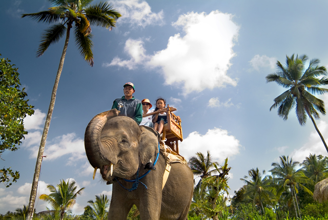 Bali - Elephant Safari